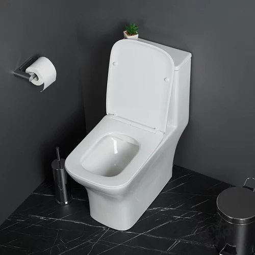Фото Унитаз моноблок BelBagno Neon BB8617CPR-MN/SC безободковый купить в Москве: цена, описание, фото. Интернет-магазин 2