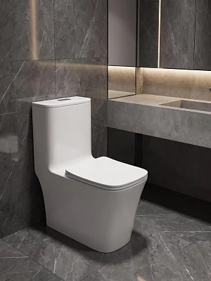 Унитаз моноблок ODA Skiff-9103 безободковый